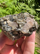 Pink Appetite Specimen - 82g