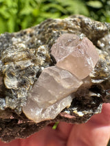 Pink Appetite Specimen - 82g