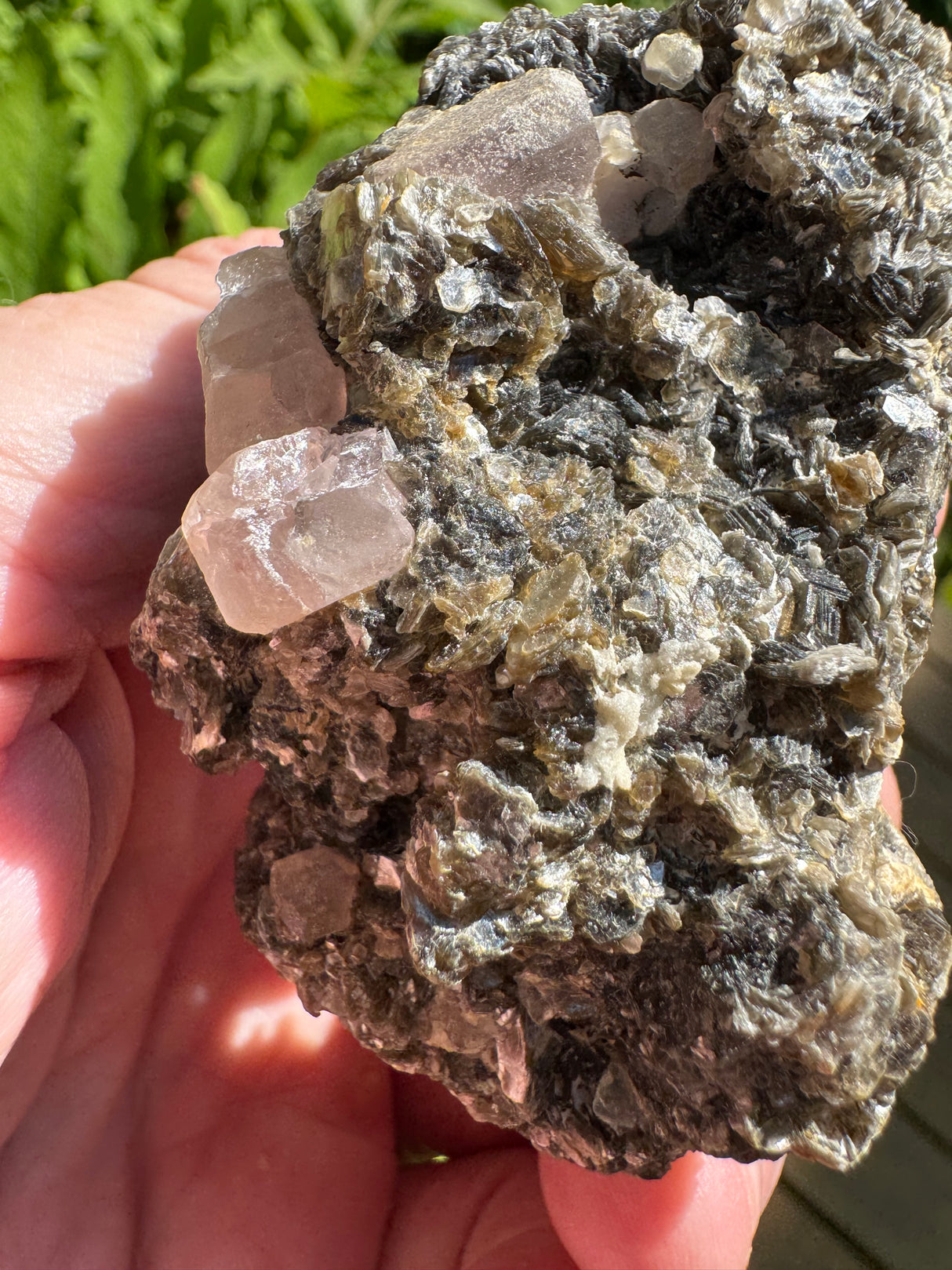 Pink Appetite Specimen - 82g