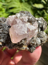 Pink Appetite Specimen - 80g