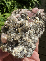 Pink Appetite Specimen - 418g