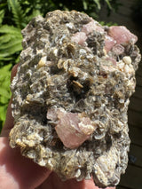 Pink Appetite Specimen - 418g