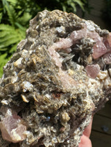 Pink Appetite Specimen - 418g