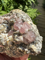 Pink Appetite Specimen - 418g