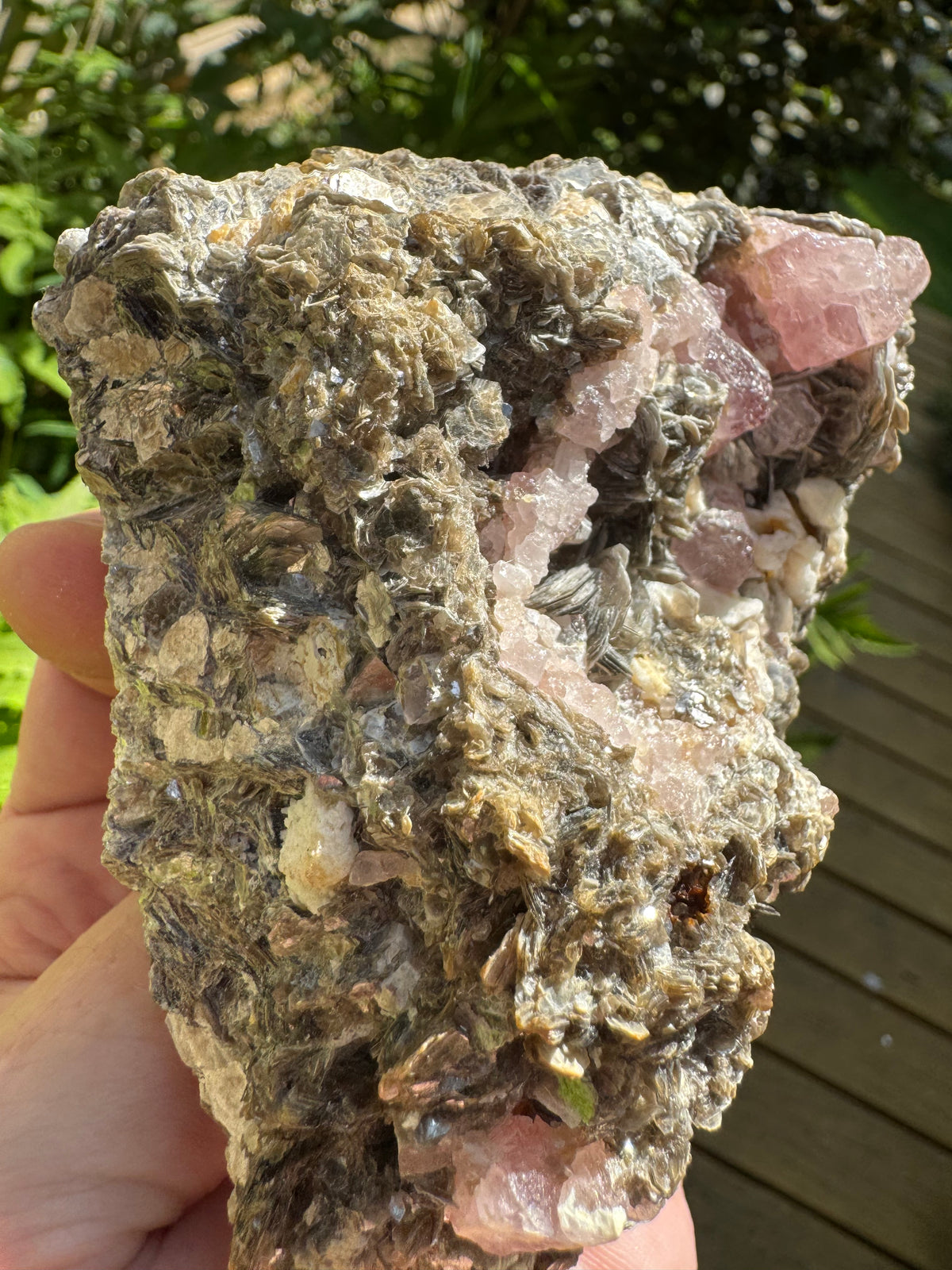 Pink Appetite Specimen - 418g