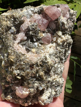 Pink Appetite Specimen - 418g