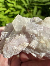 Tourmaline Specimen - 231g