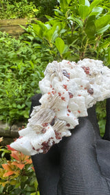 Garnet and Star Mica Specimen - 301g
