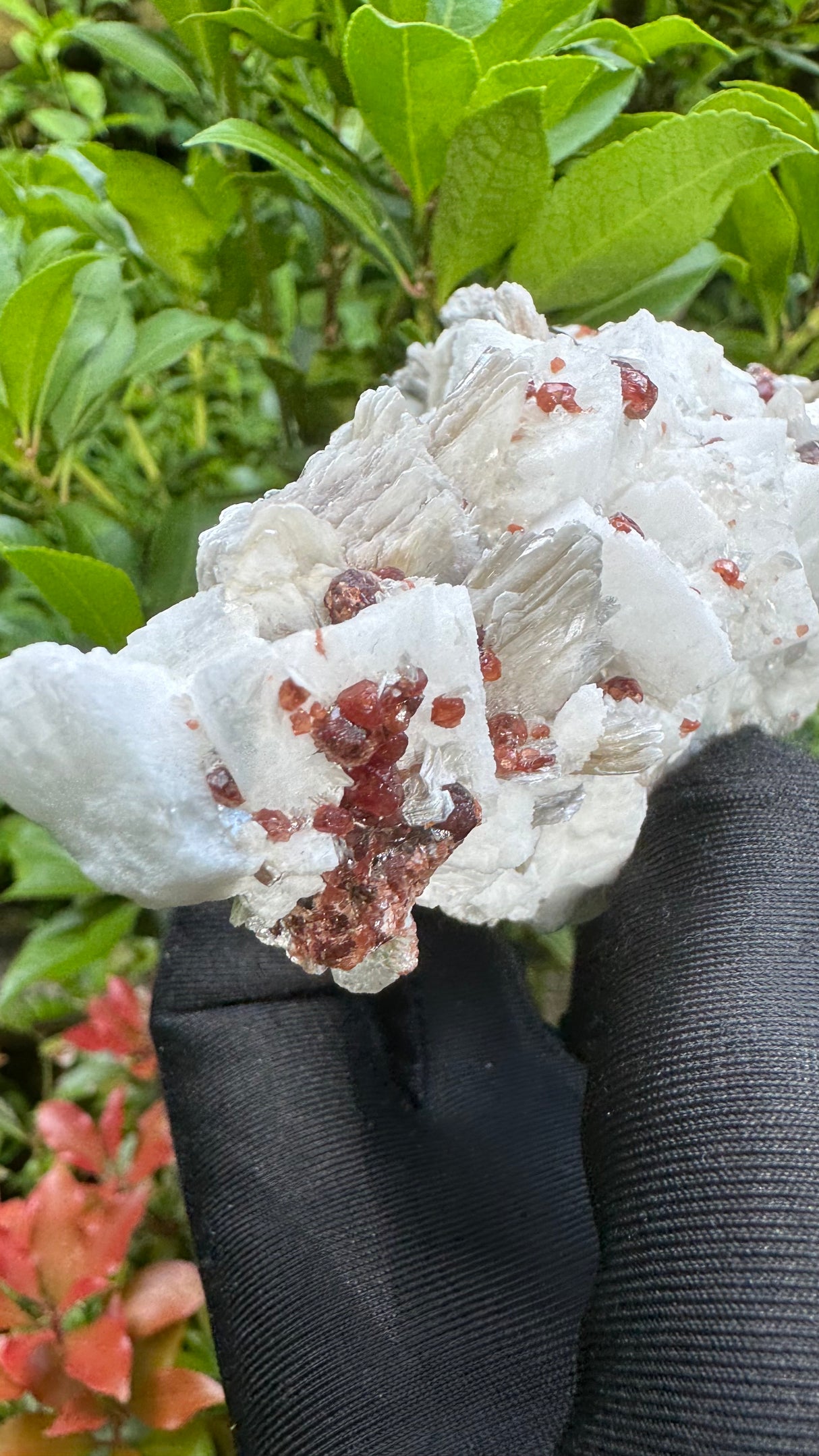 Garnet and Star Mica Specimen - 301g