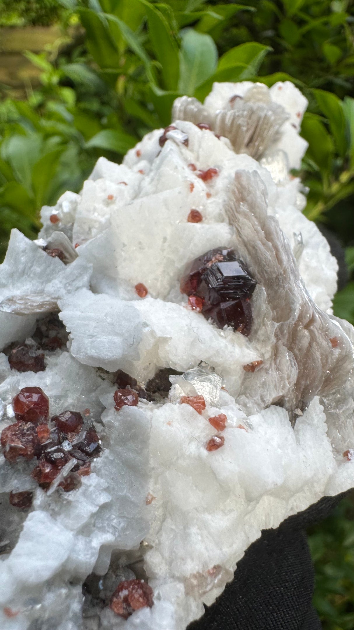 Garnet and Star Mica Specimen - 301g