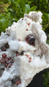 Garnet and Star Mica Specimen - 301g