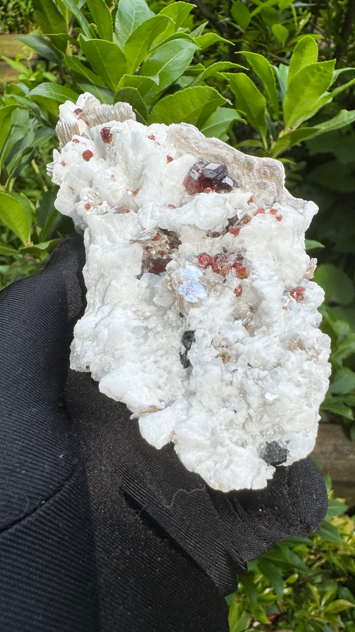 Garnet and Star Mica Specimen - 301g