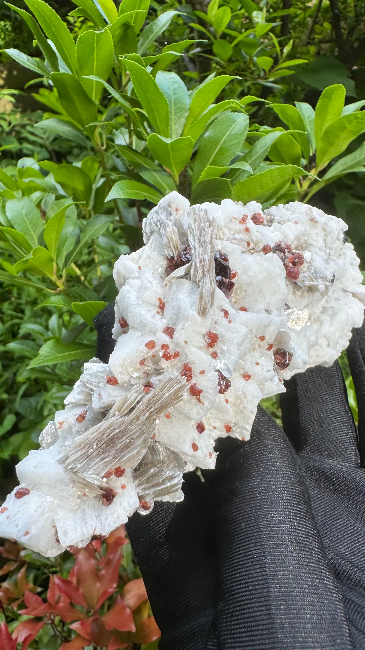 Garnet and Star Mica Specimen - 301g