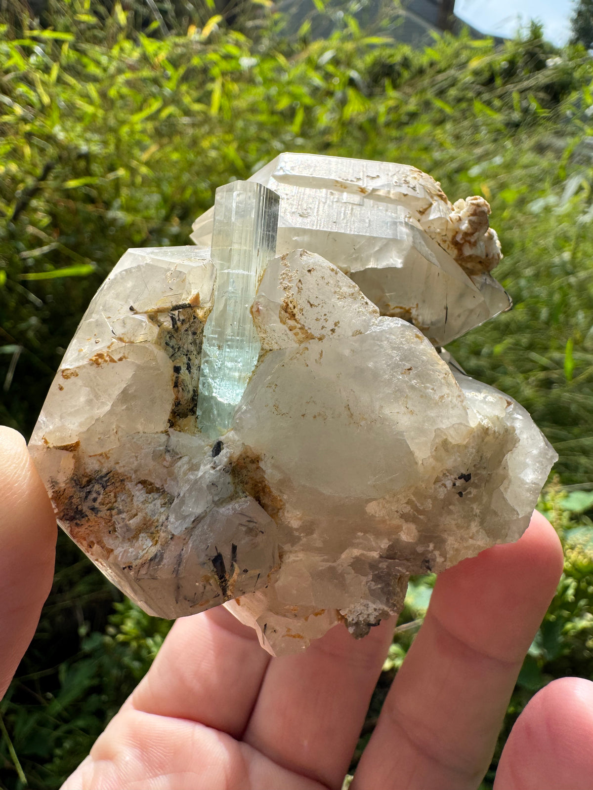 Aquamarine on Quartz  Specimen - 605g