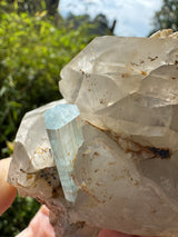 Aquamarine on Quartz  Specimen - 605g