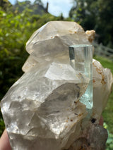 Aquamarine on Quartz  Specimen - 605g