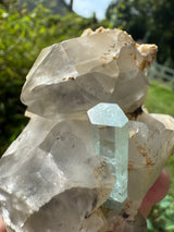 Aquamarine on Quartz  Specimen - 605g
