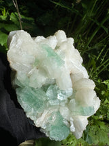 Green Apophyllite - 786g