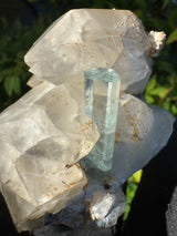 Aquamarine on Quartz  Specimen - 605g