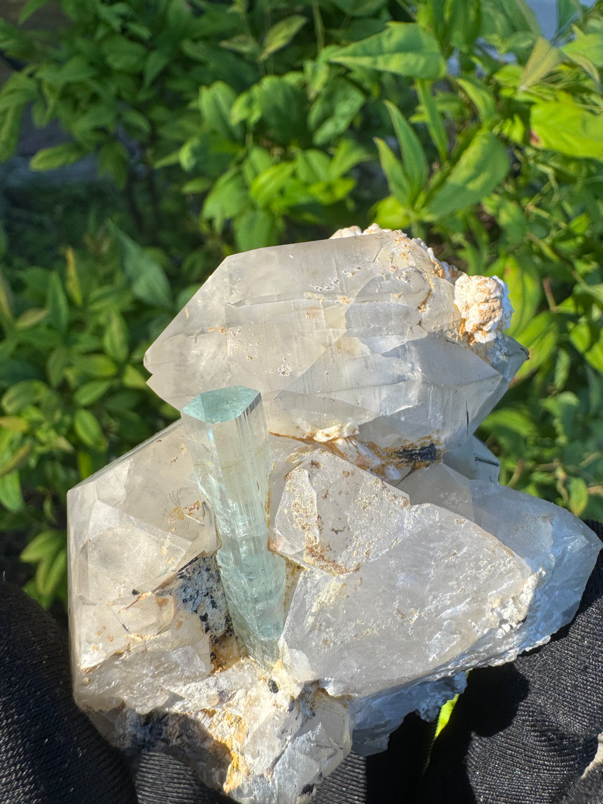 Aquamarine on Quartz  Specimen - 605g