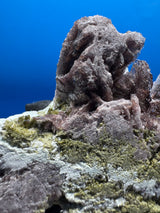 Axinite Specimen - 204g