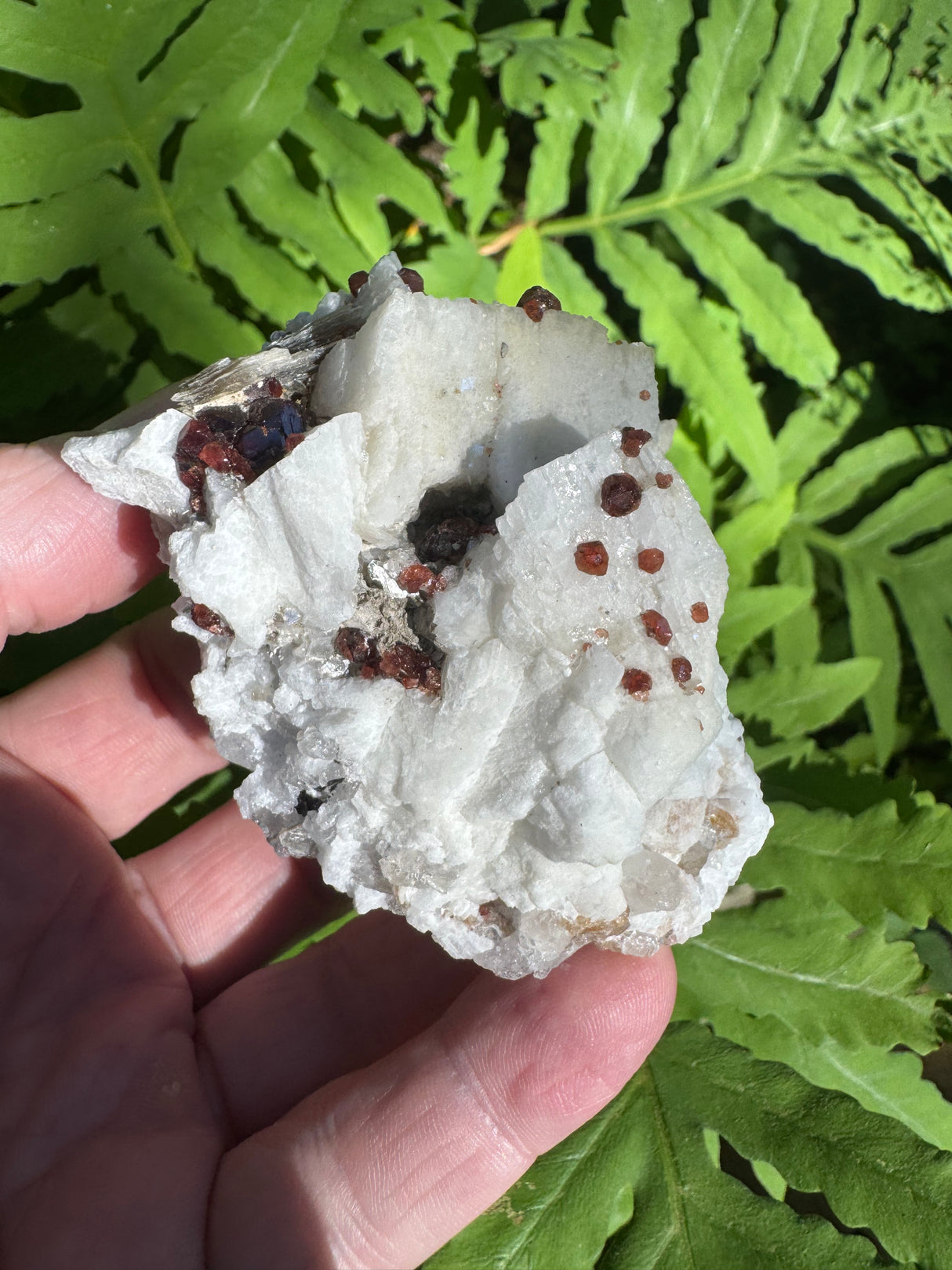 Garnet on Star Mica Specimen - 58g
