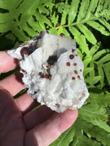Garnet on Star Mica Specimen - 58g
