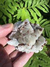 Garnet on Star Mica Specimen - 58g