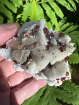 Garnet on Star Mica Specimen - 58g
