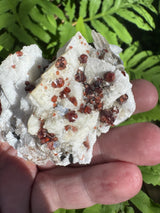 Garnet on Star Mica Specimen - 58g