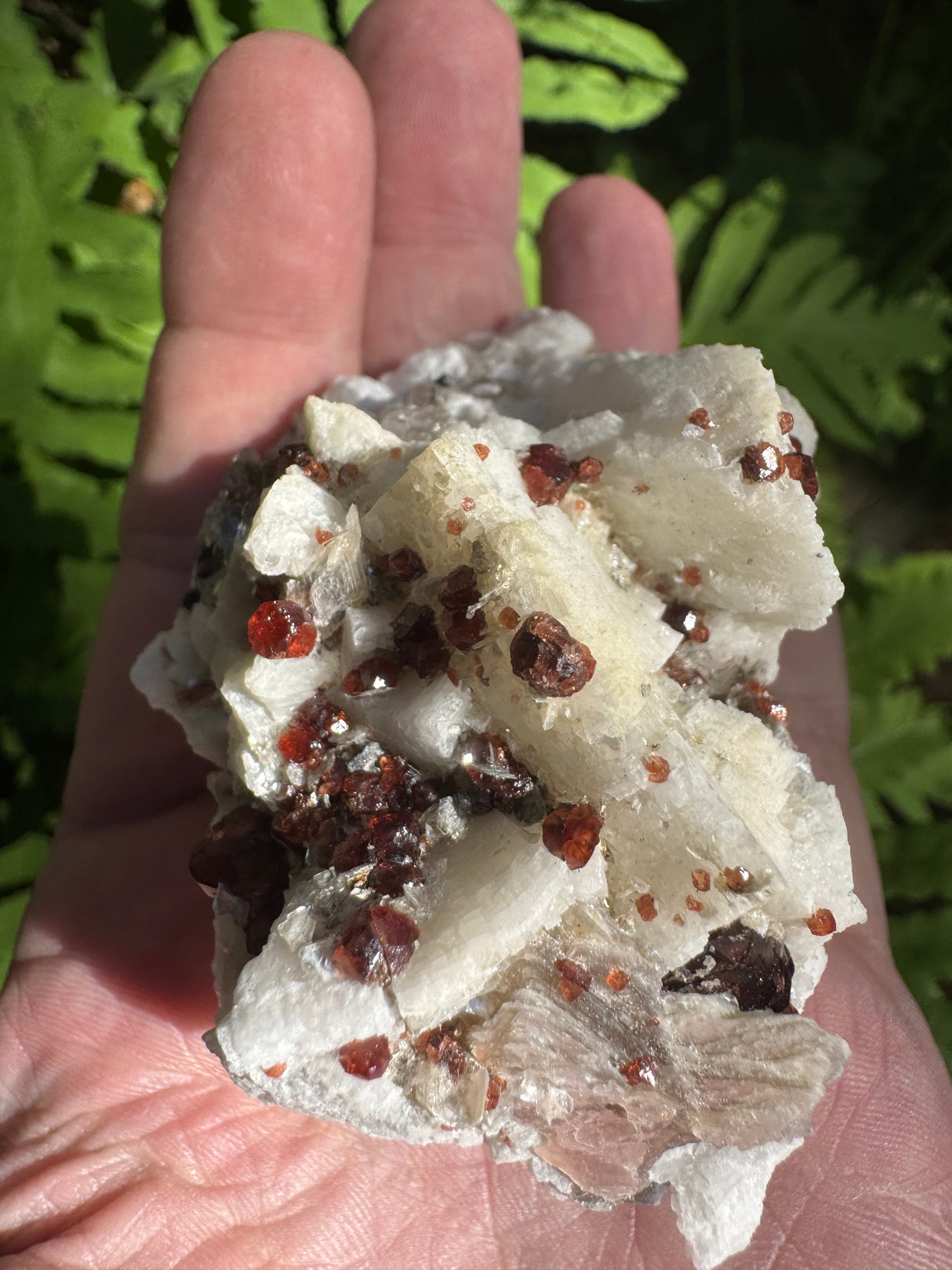 Garnet on Star Mica Specimen - 58g