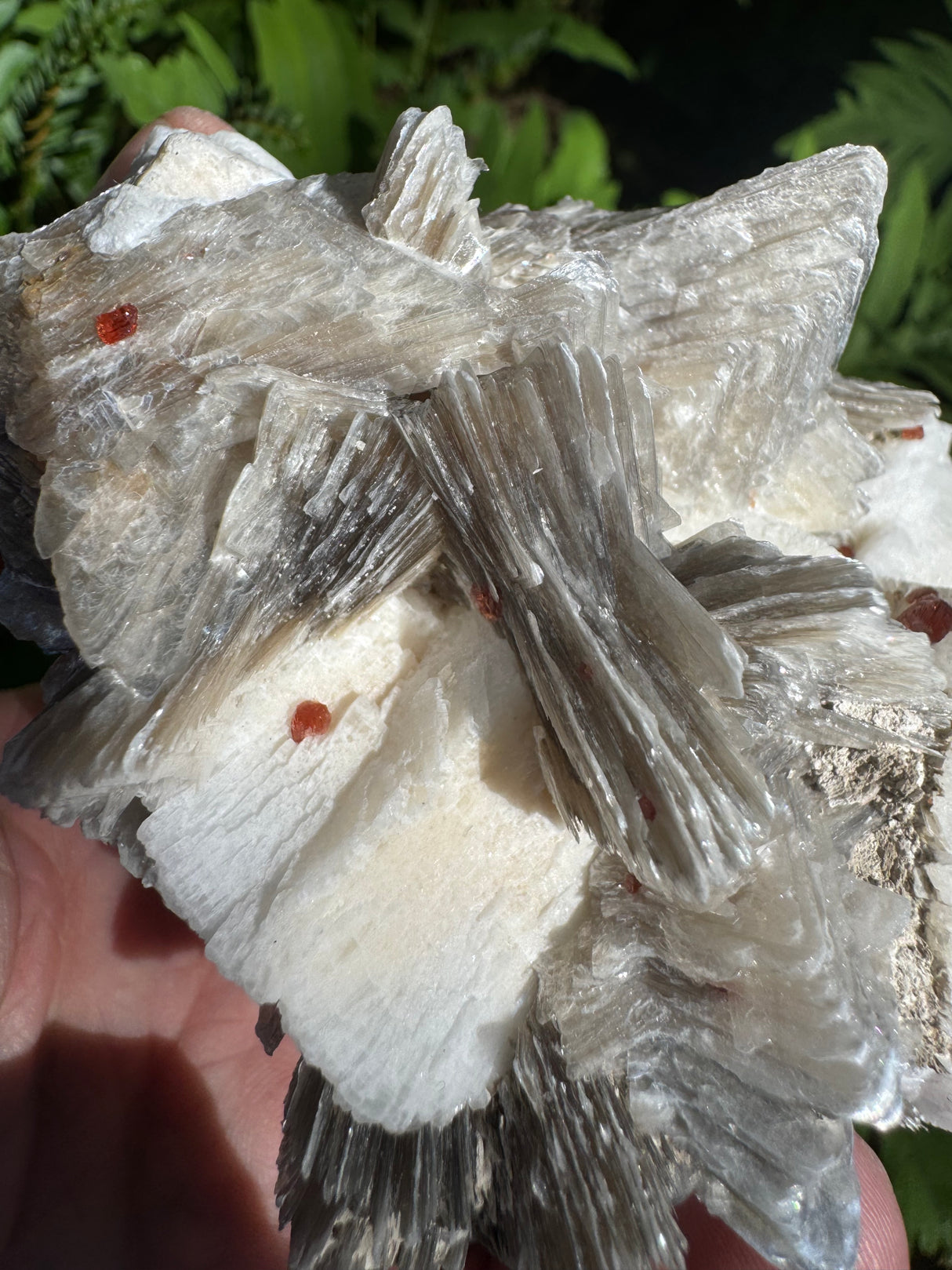 Garnet on Star Mica Specimen - 87g