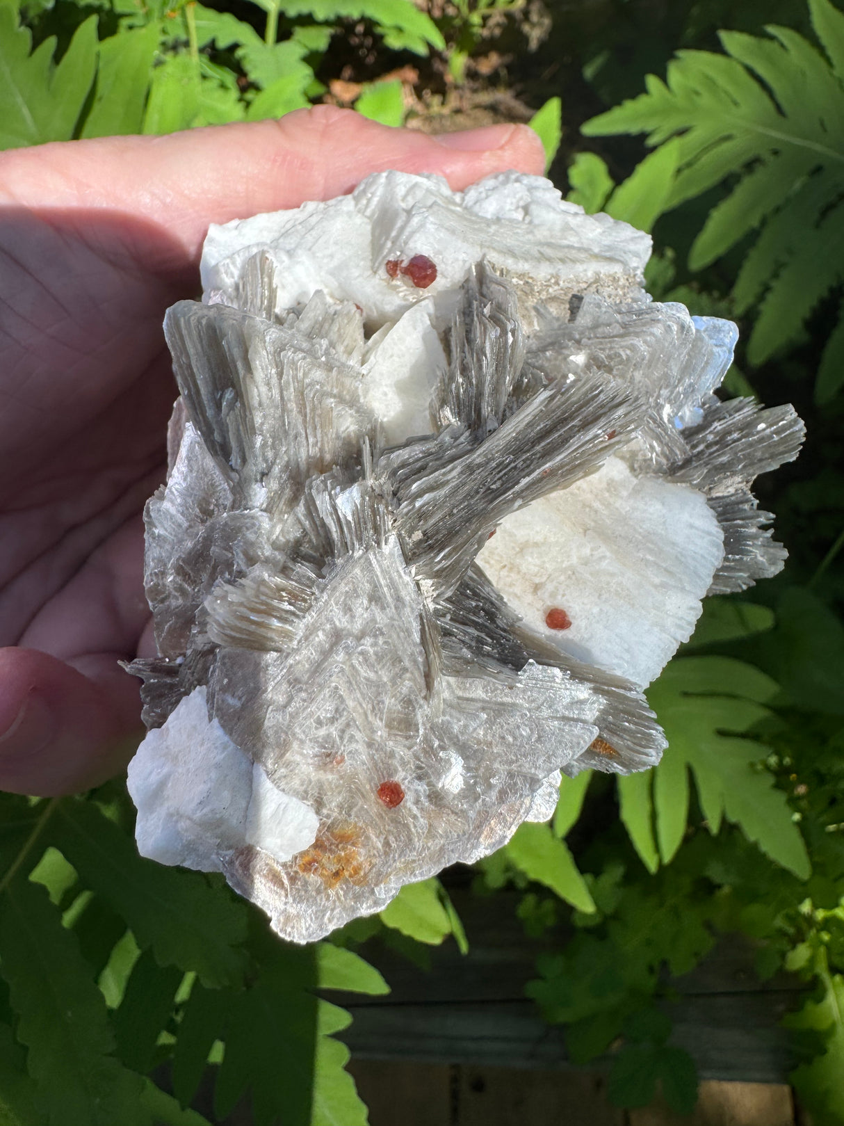 Garnet on Star Mica Specimen - 87g