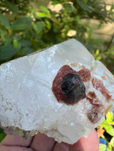 Garnet on Quartz Specimen - 99g