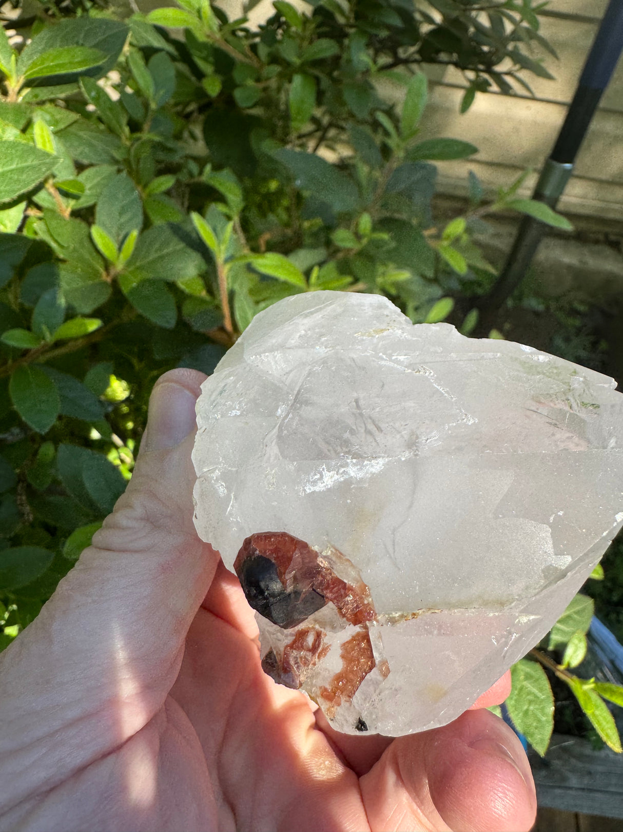 Garnet on Quartz Specimen - 99g