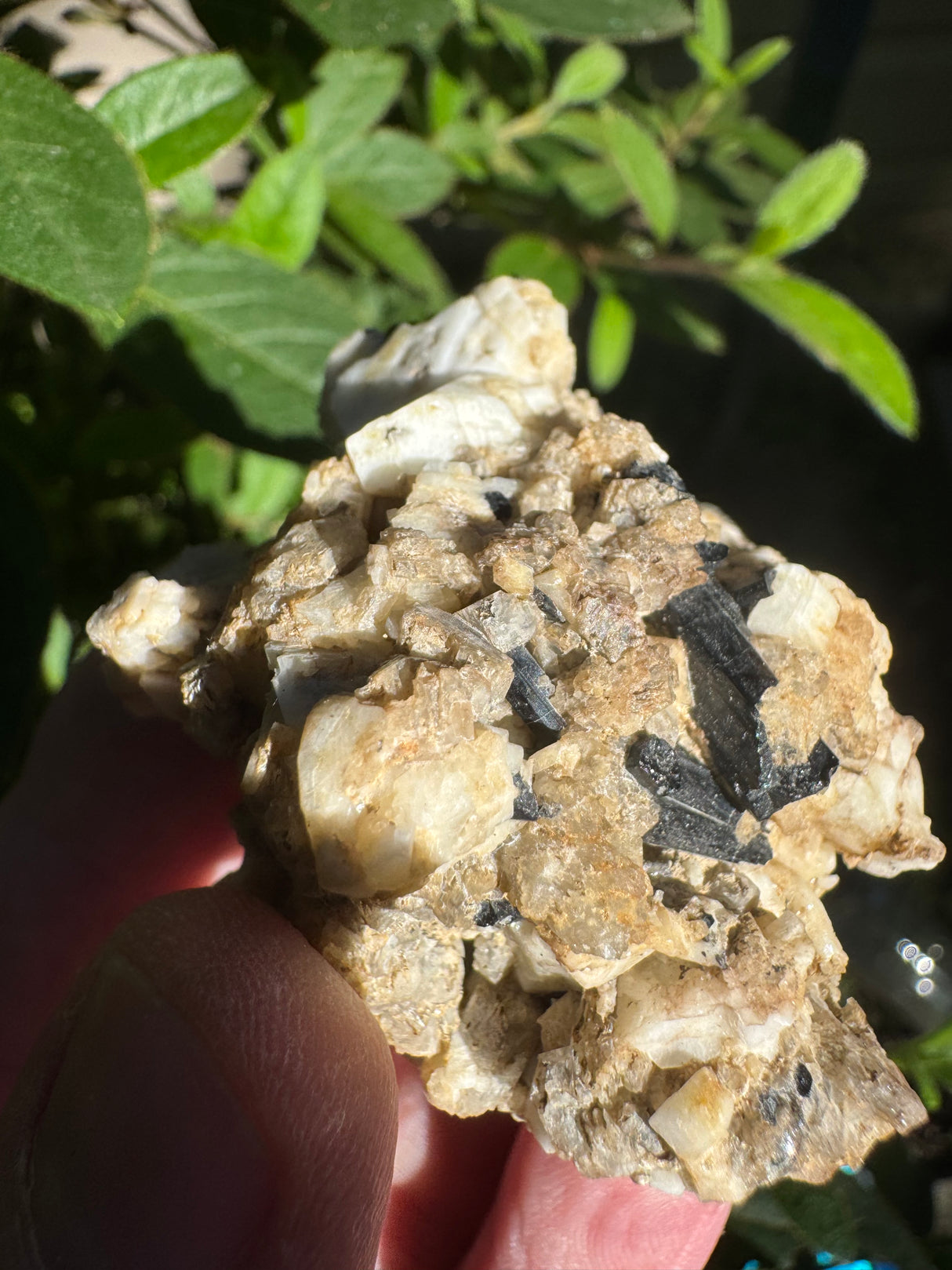 Black Tourmaline Specimen - 21g