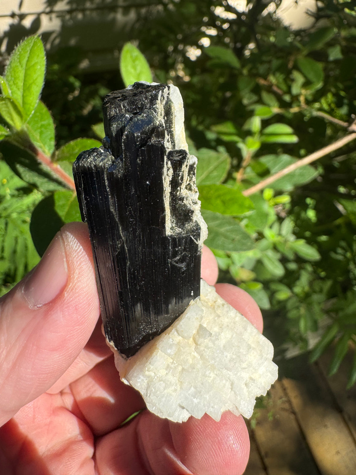 Black Tourmaline Specimen - 27g