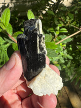 Black Tourmaline Specimen - 27g