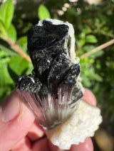 Black Tourmaline Specimen - 27g