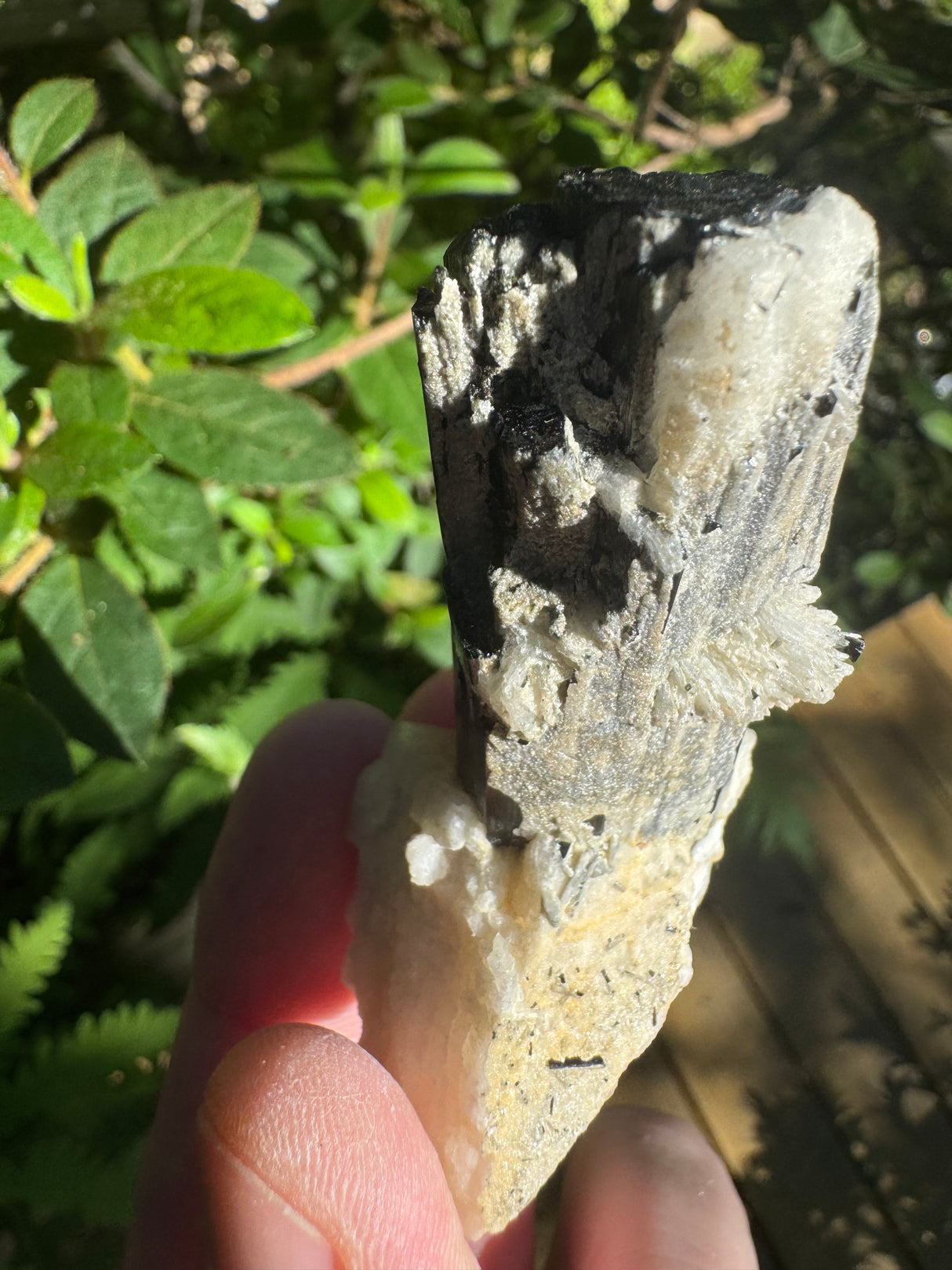 Black Tourmaline Specimen - 27g