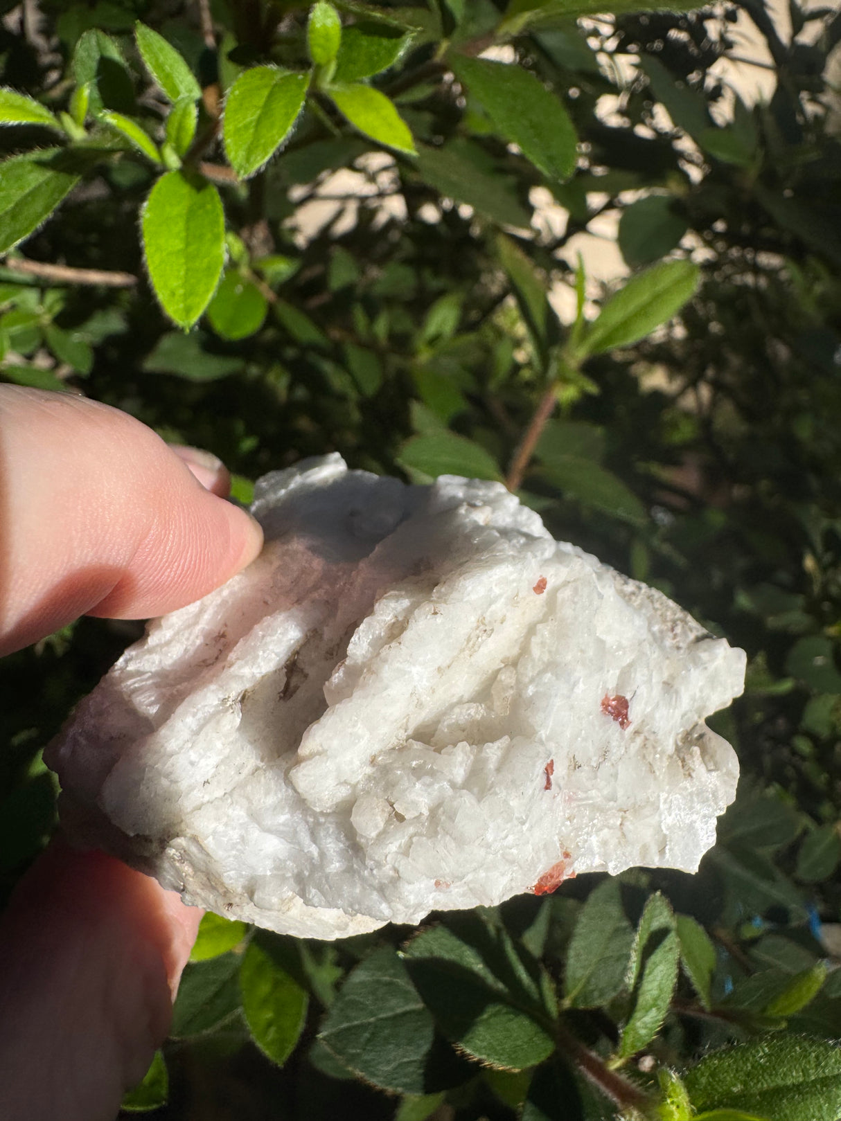 Garnet Specimen - 46g