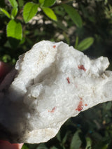 Garnet Specimen - 46g