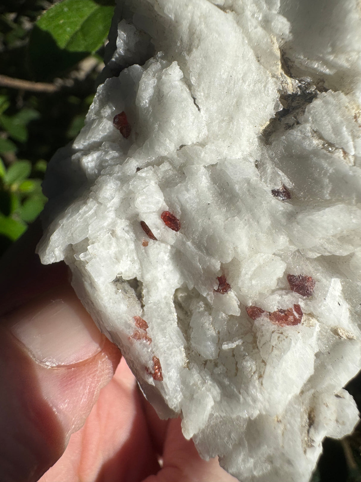 Garnet Specimen - 46g